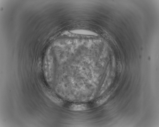 X0000081450557200701261915