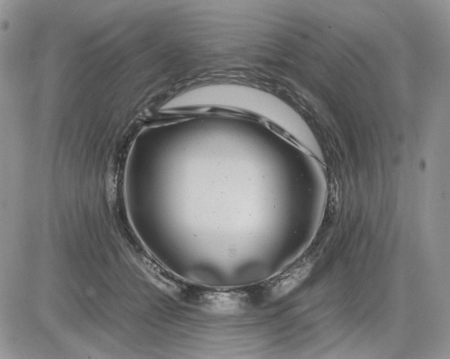 X0000081450558200701261915