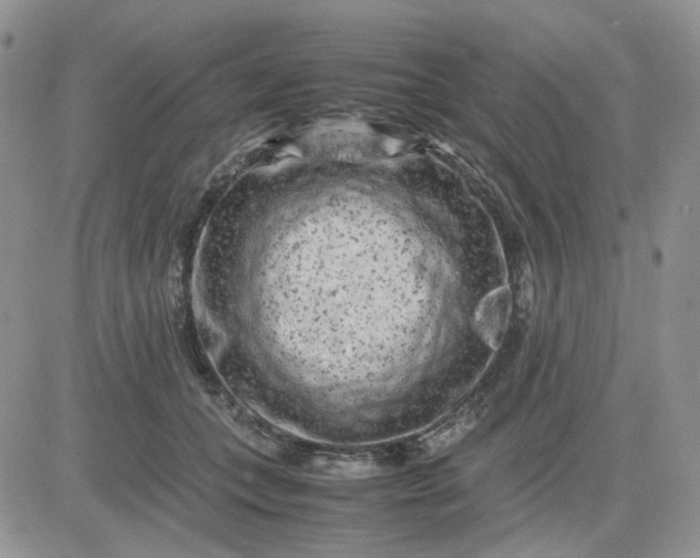 X0000081450559200701261915