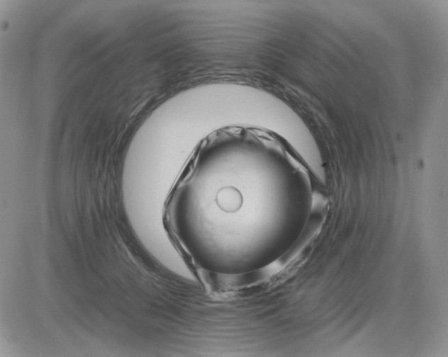 X0000081450560200701261915