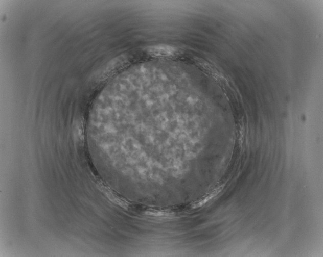 X0000081450561200701261915