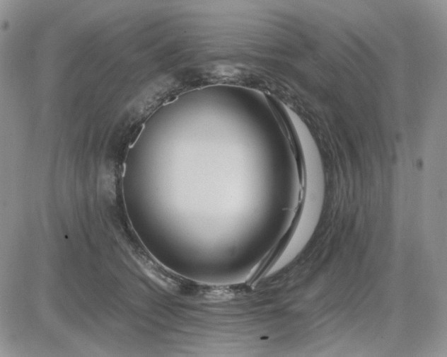 X0000081450562200701261915