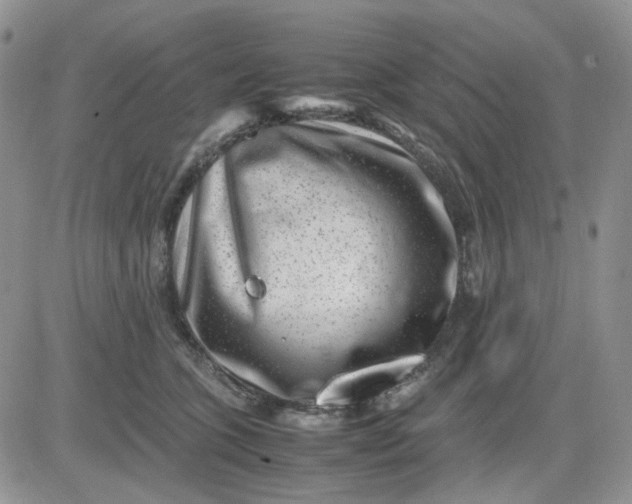 X0000081450563200701261915