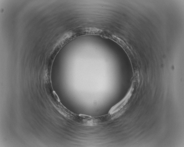 X0000081450564200701261915