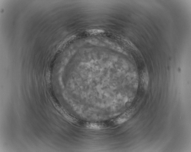 X0000081450565200701261915