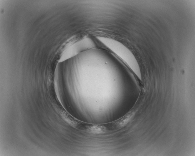 X0000081450566200701261915