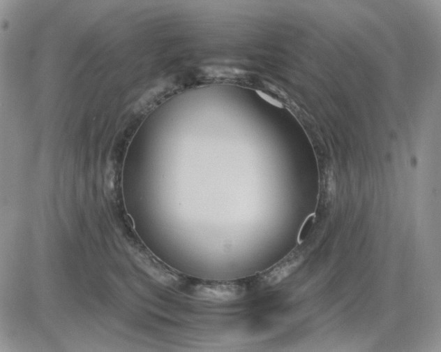 X0000081450567200701261915