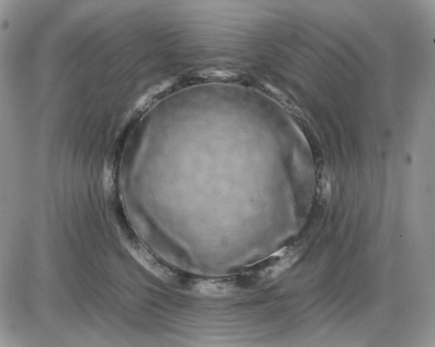 X0000081450568200701261916