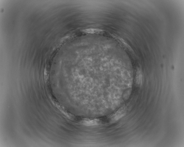 X0000081450569200701261916