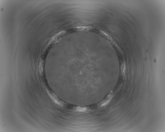 X0000081450570200701261916