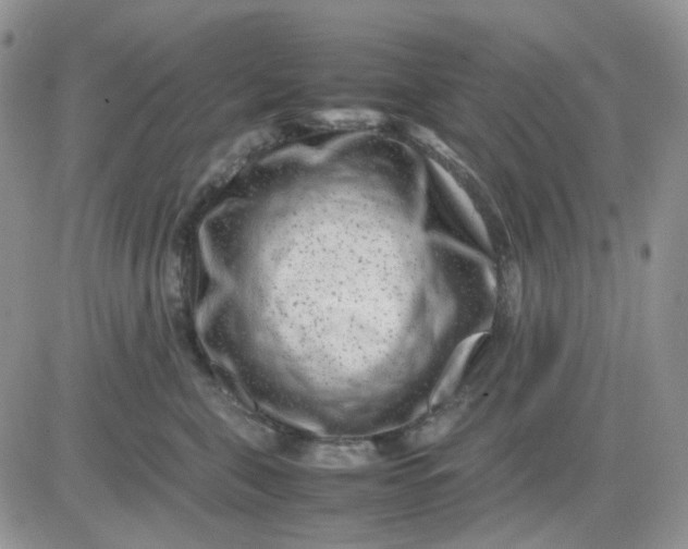 X0000081450571200701261916