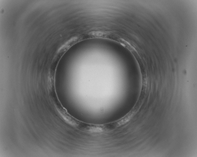 X0000081450572200701261916