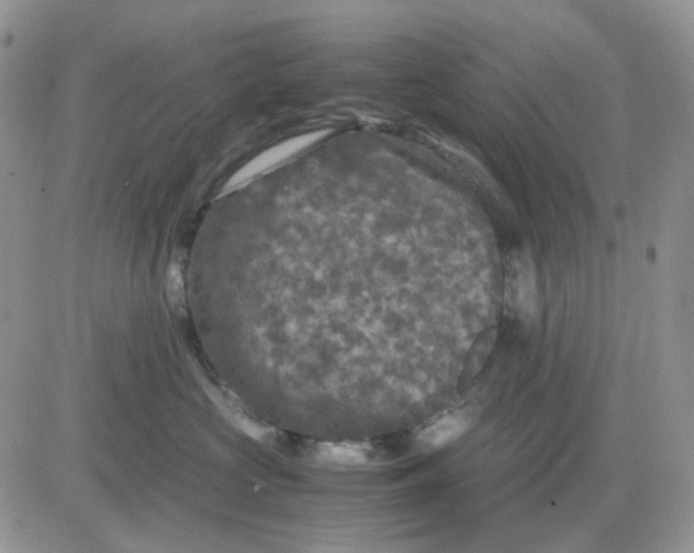 X0000081450573200701261916