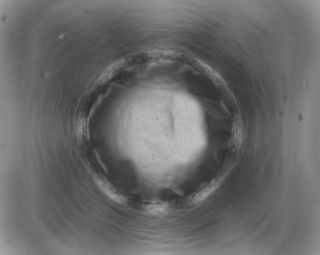 X0000081450574200701261916