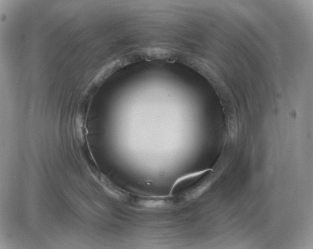 X0000081450575200701261916