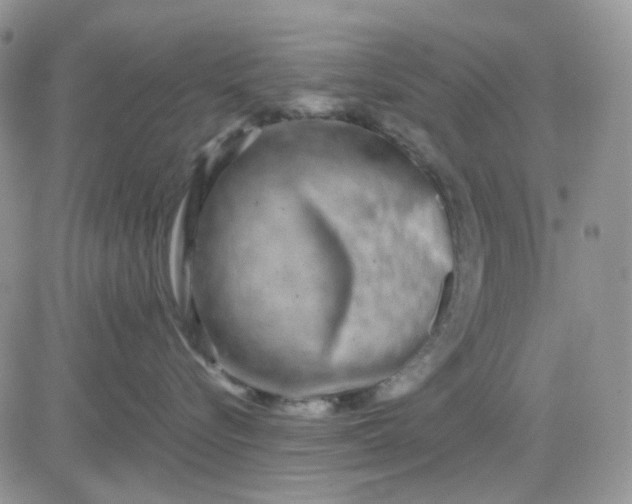 X0000081450576200701261916