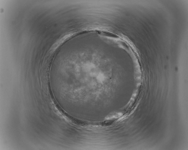 X0000081450577200701261915