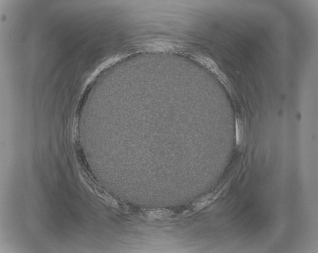 X0000081450579200701261915