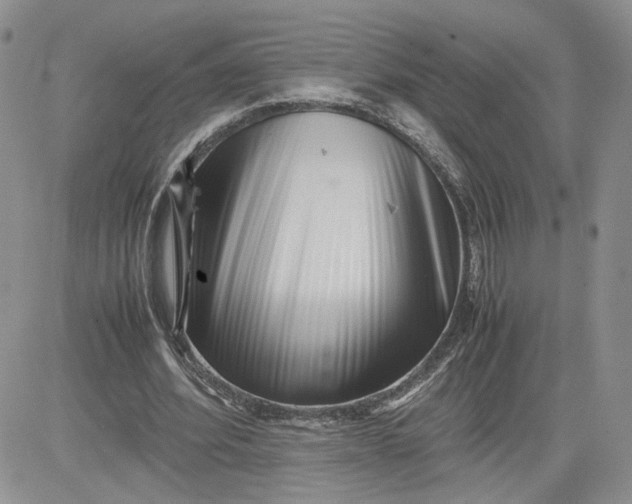 X0000081450580200701261915