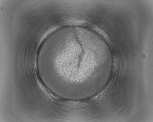 X0000081450582200701261915