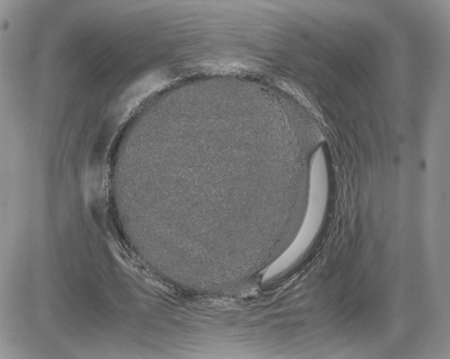 X0000081450583200701261915