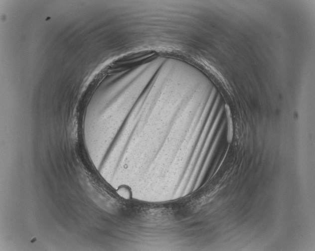 X0000081450584200701261915