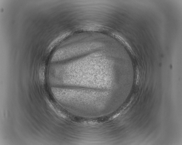 X0000081450586200701261915