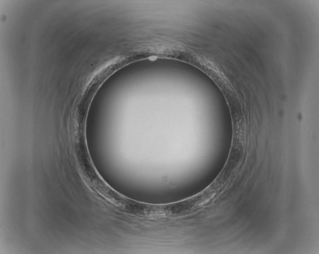 X0000081450587200701261915