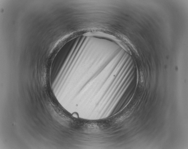 X0000081450588200701261915