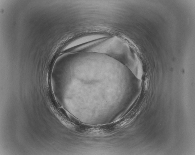 X0000081450589200701261915