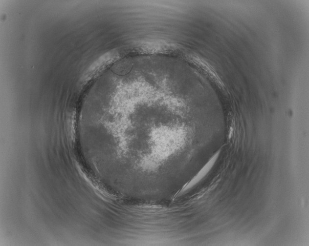 X0000081450590200701261915