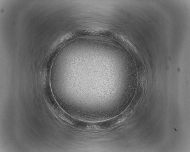 X0000081450591200701261915