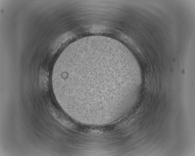 X0000081450592200701261915