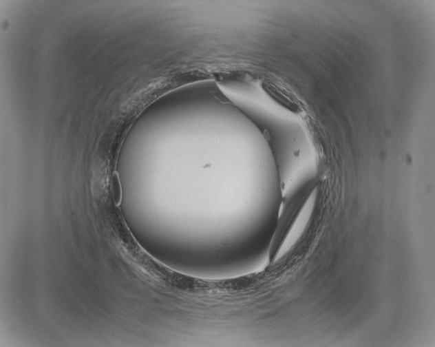 X0000081450593200701261915