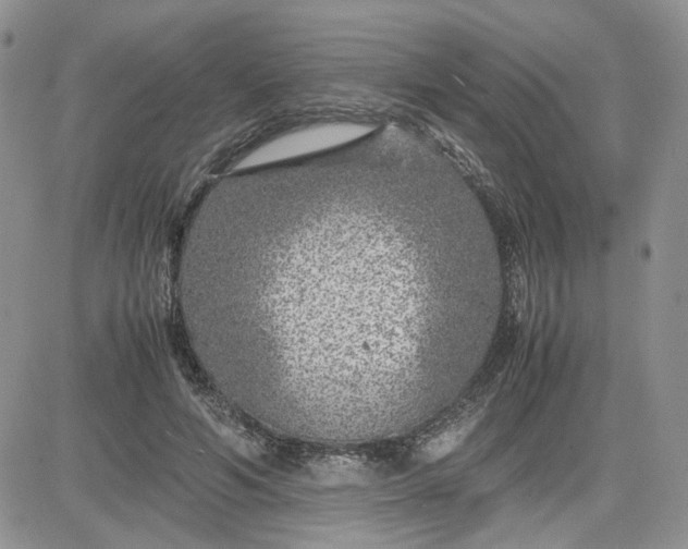 X0000081450594200701261915