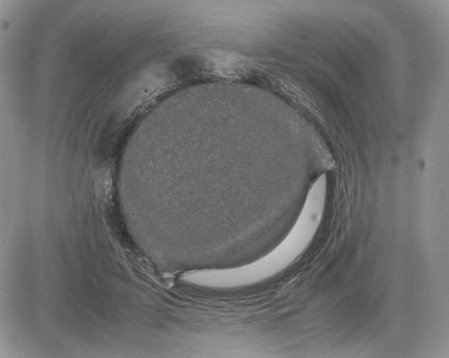 X0000081450595200701261915