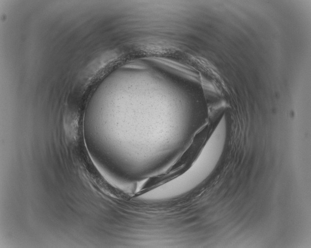 X0000081450596200701261915