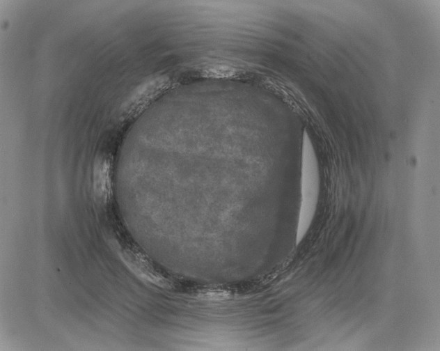 X0000081450598200701261915