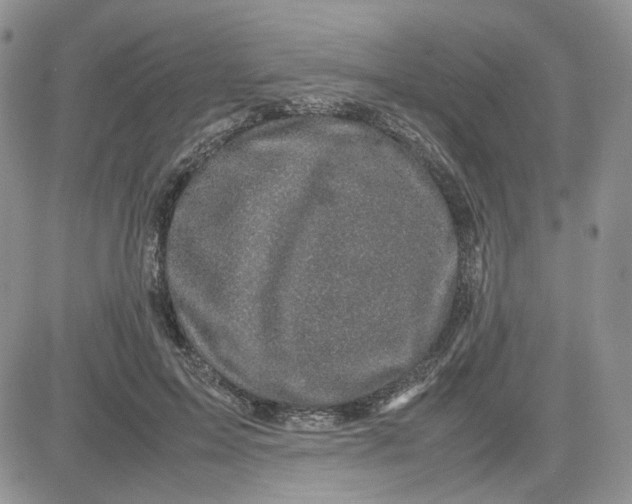 X0000081450599200701261914