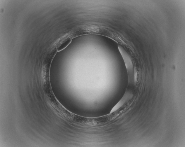 X0000081450600200701261914