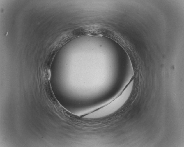 X0000081450601200701261914