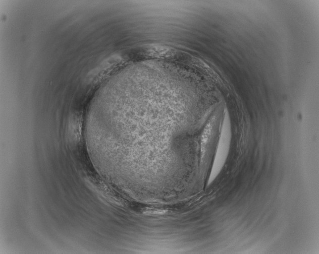 X0000081450602200701261914