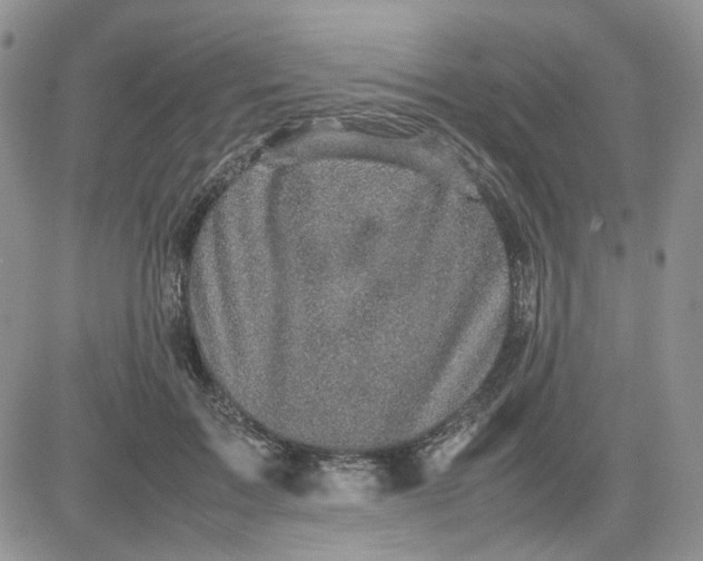 X0000081450603200701261914