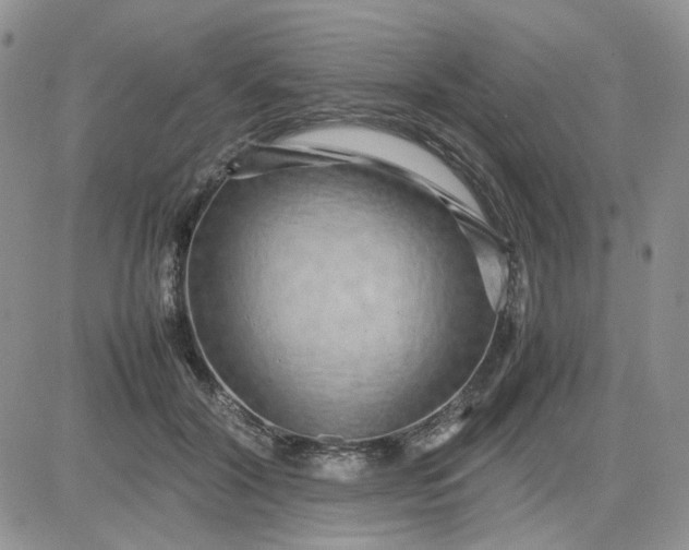 X0000081450604200701261914