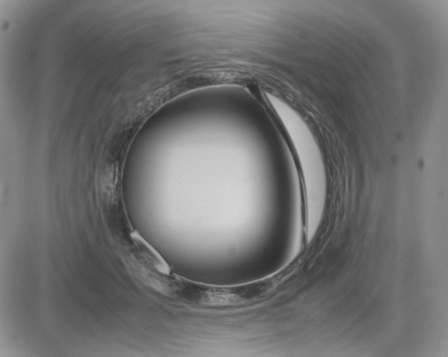 X0000081450605200701261914