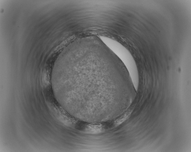 X0000081450606200701261914