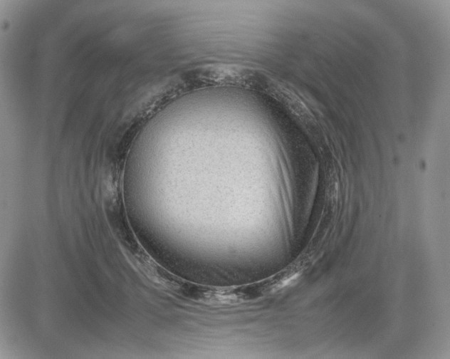 X0000081450607200701261914