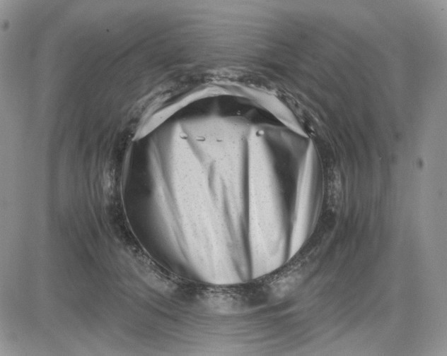 X0000081450608200701261914