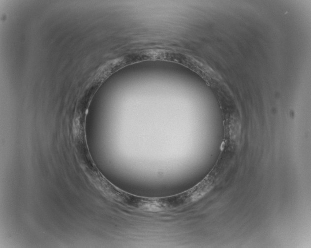 X0000081450611200701261914