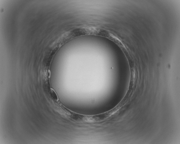 X0000081450613200701261914